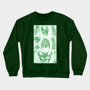 Poor Man's X-Ray Green Skeleton Crewneck Sweatshirt